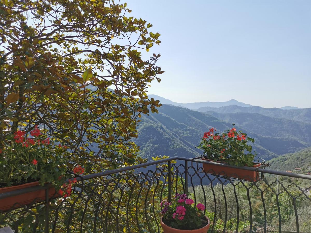 L'Albero Del Cioccolato Bed & Breakfast Pigna Exterior photo